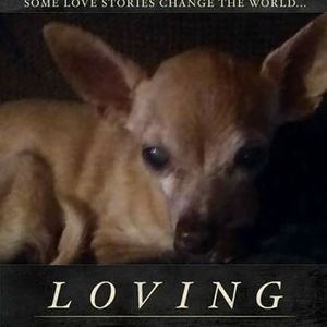 Meet your Posher, Rhonda